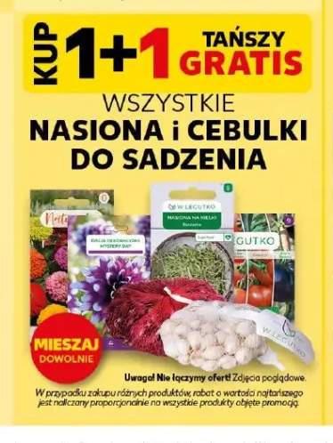 Nasiona i cebulki do sadzenia