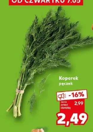 Koperek pęczek
