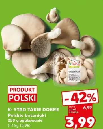 Polskie boczniaki K-STĄD TAKIE DOBRE