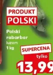 Polski rabarbar