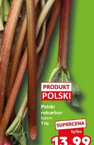 Polski rabarbar