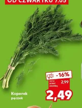 Koperek pęczek