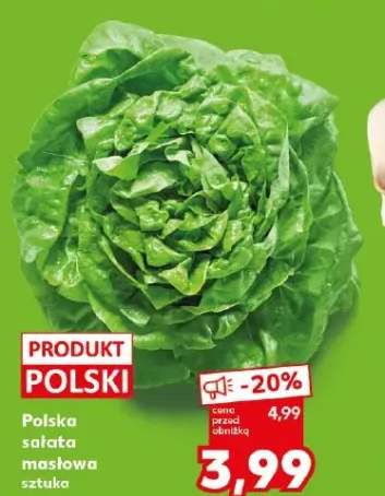 Sałata masłowa polska