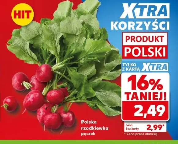 Rzodkiewka polska