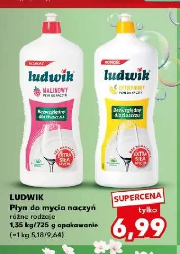 Płyn do mycia naczyń Ludwik