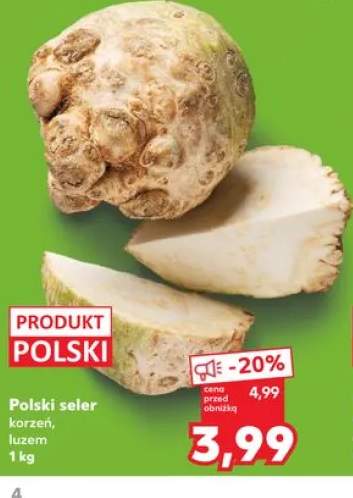 Seler korzeń polski luzem