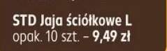 Jaja ściółkowe L STD