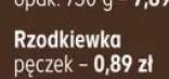 Rzodkiewka pęczek