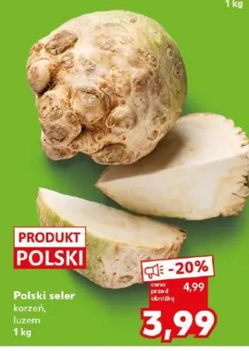 Polski seler korzeń luzem