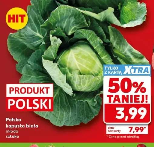 Kapusta biała młoda polska
