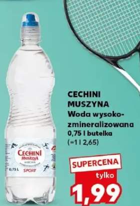 Woda wysokozmineralizowana CECHINI MUSZYNA