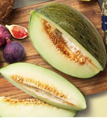 Melon Piel de Sapo