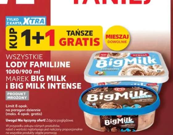 Lody familijne Big Milk i Big Milk Intense