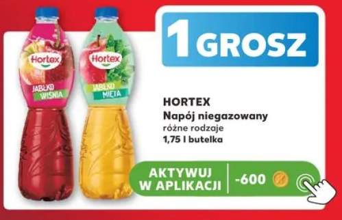 Napój niegazowany Hortex