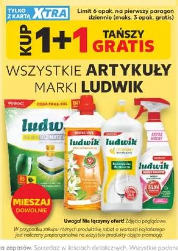 Płyn uniwersalny Ludwik