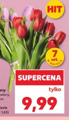 Tulipany dł. 35cm