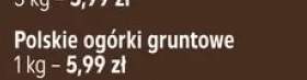 Ogórki gruntowe polskie