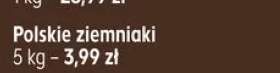 Ziemniaki polskie