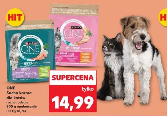 Sucha karma dla kotów ONE