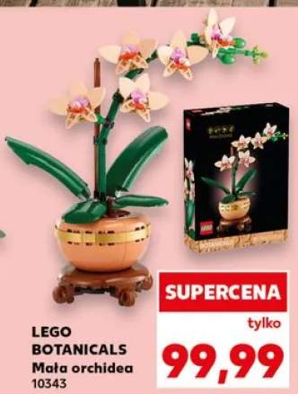 Klocki LEGO Botanicals Mała orchidea 10343
