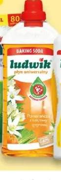 Płyn uniwersalny Pomarańcza z nutą trawy cytrynowej LUDWIK