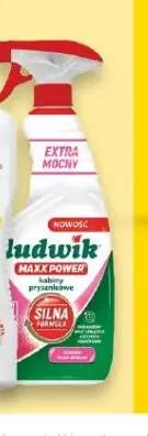 Płyn do kabin prysznicowych Maxx Power LUDWIK