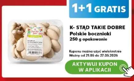 Polskie boczniaki K-Stąd Takie Dobre
