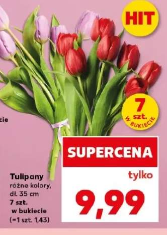 Tulipany dł. 35cm 7szt. w bukiecie