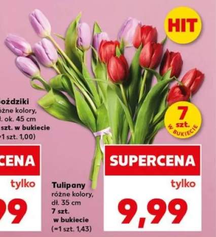 Tulipany dł. 35cm
