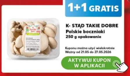 Polskie boczniaki K-Stąd Takie Dobre