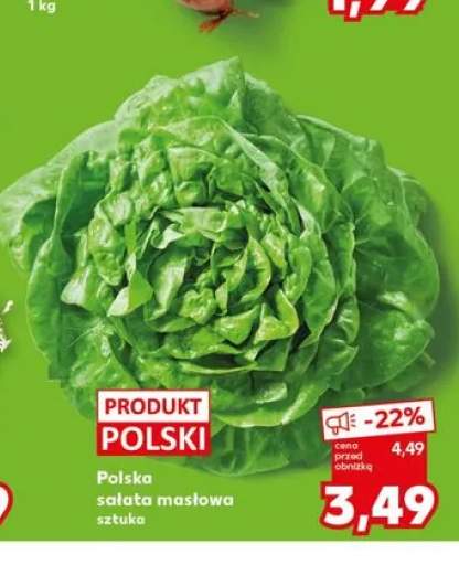 Polska sałata masłowa