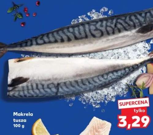 makrela tusza