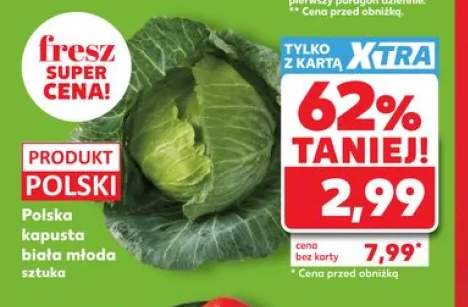 Polska kapusta biała młoda
