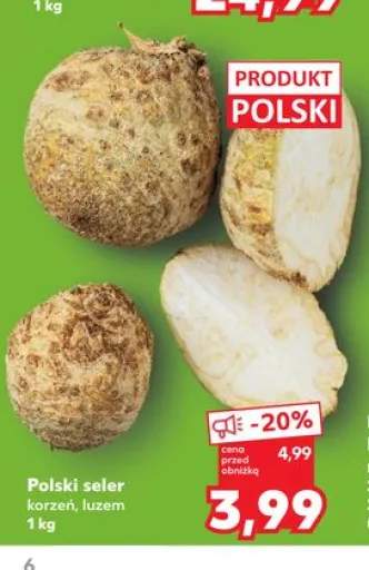 Polski seler korzeń luzem