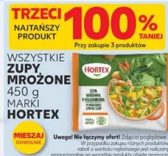 Zupa wiosenna 9-składnikowa Hortex