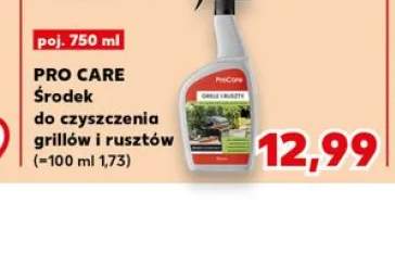 Środek do czyszczenia grillów i rusztów PRO CARE