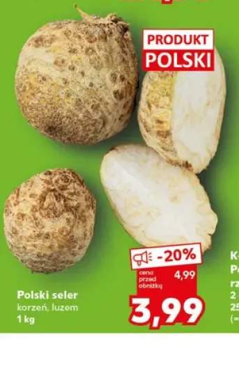 Seler korzeń polski luzem