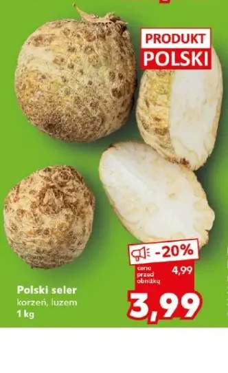 Polski seler korzeń luzem