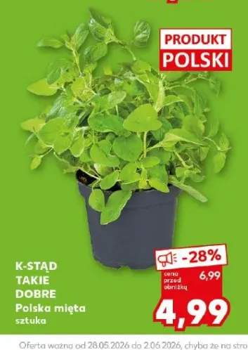 Polska mięta K-Stąd Takie Dobre