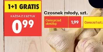 czosnek młody
