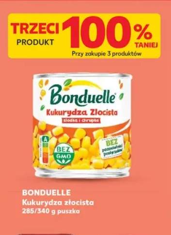 Kukurydza złocista BONDUELLE