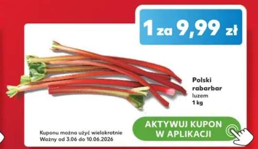 Polski rabarbar