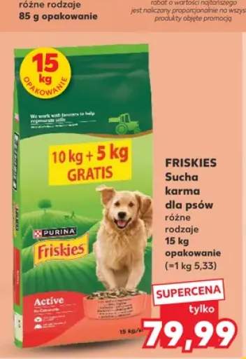 Przysmak dla kotów Dreamies