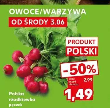 Rzodkiewka polska