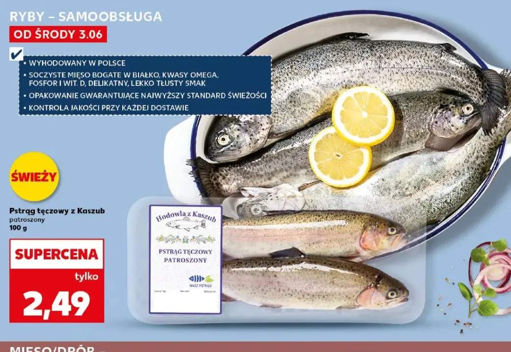 Pstrąg tęczowy z Kaszub patroszony Hodowla z Kaszub
