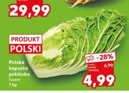 Kapusta pekińska polska