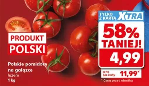 Polskie pomidory na gałązce