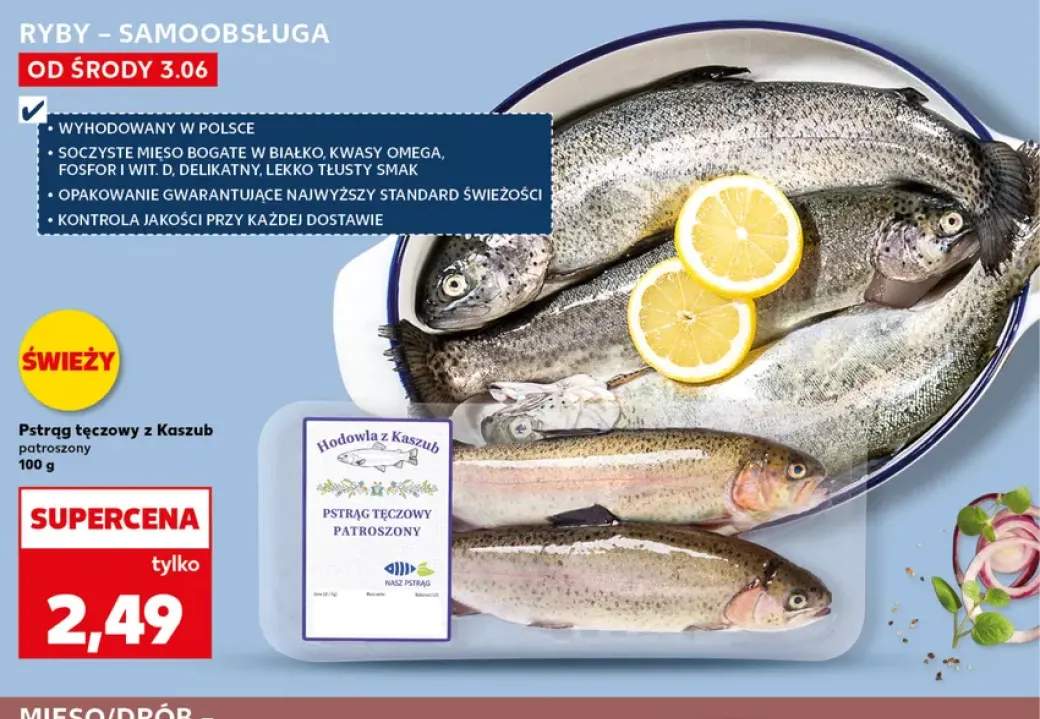 Pstrąg tęczowy z Kaszub patroszony