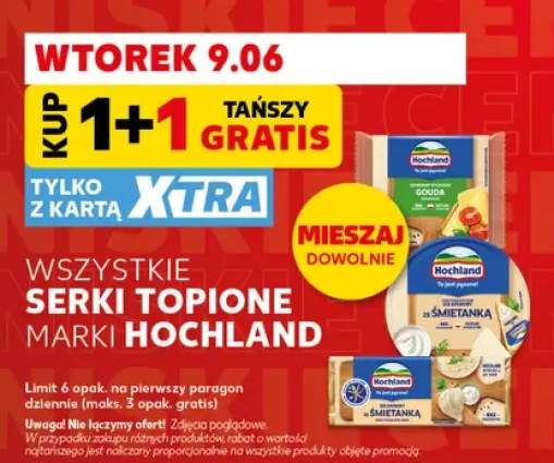 Serek topiony w plastrach Gouda Hochland