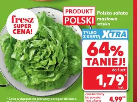 Sałata masłowa polska